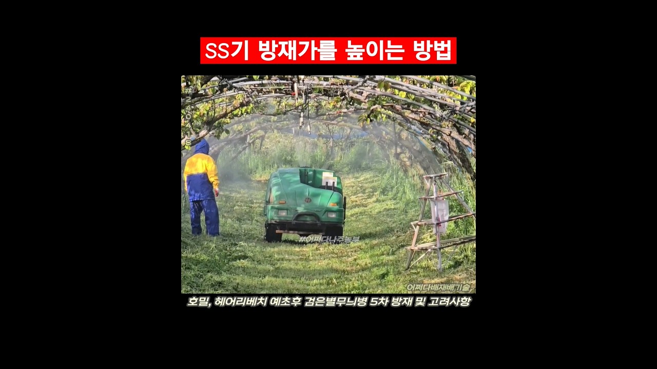 SS기 방재가를 높이는 방법