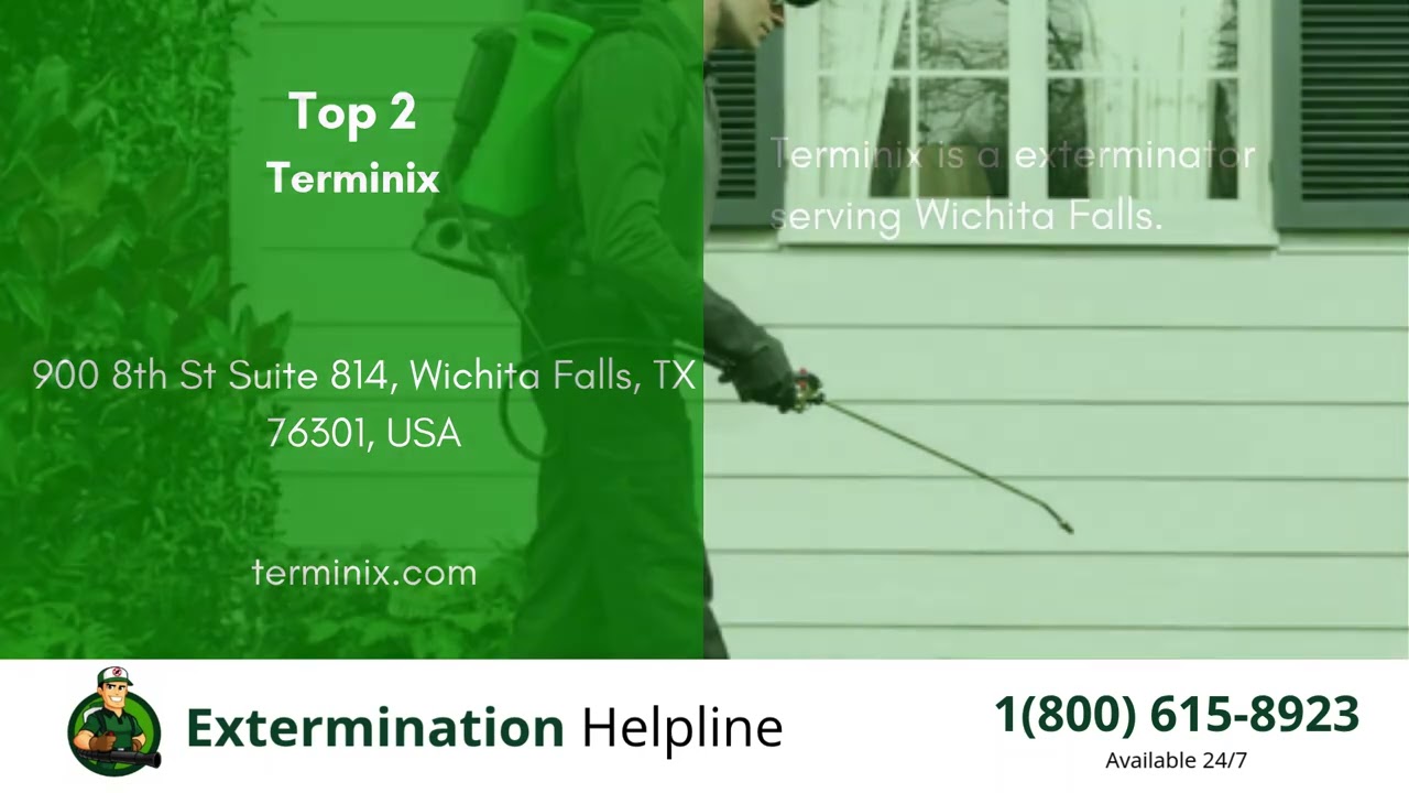 Top 3 Exterminators in Wichita Falls