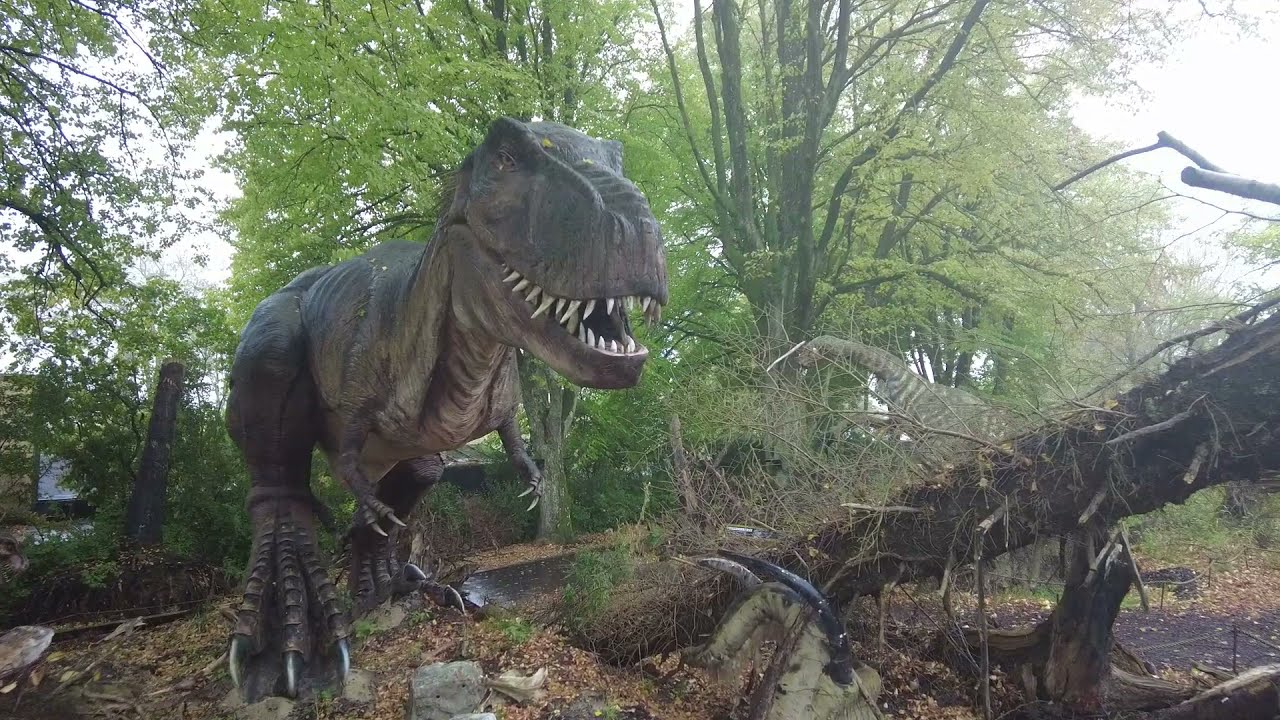 Aalborg Zoo Denmark 2021 - 4K Tour