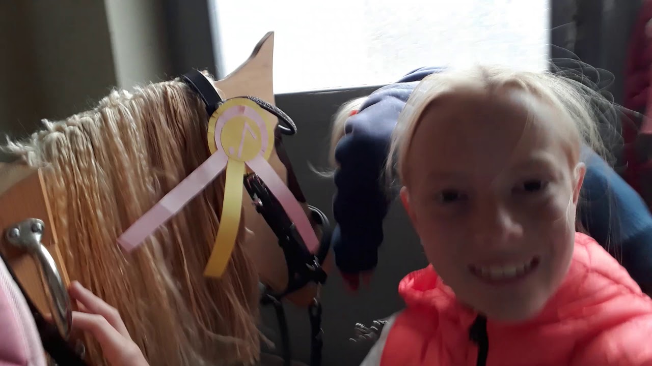 Mein und Merles 1. Turnier 🤗🐎 💞Fürzügel💞 💜A Dressur💜