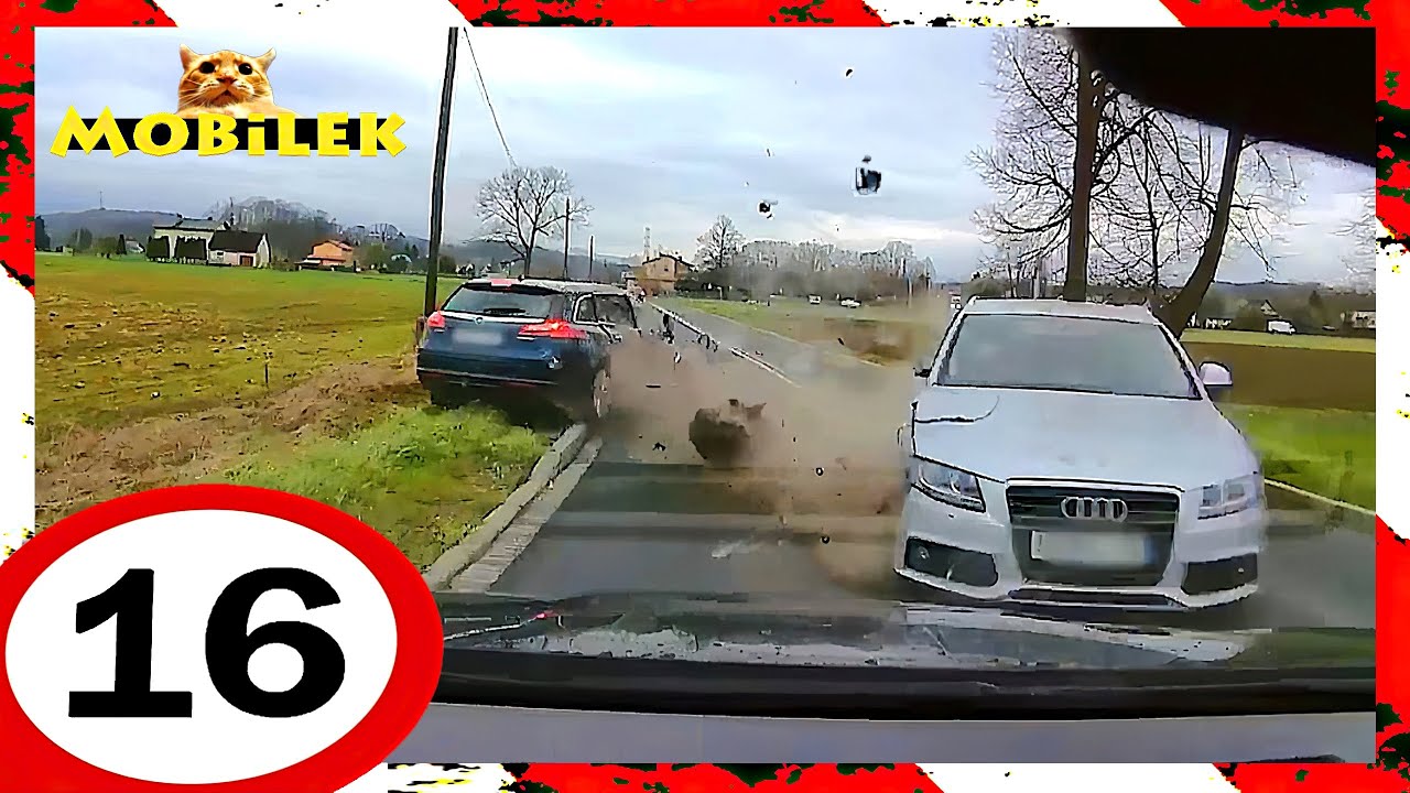 Polskie Wypadki Drogowe  16  🇵🇱  Mobilek