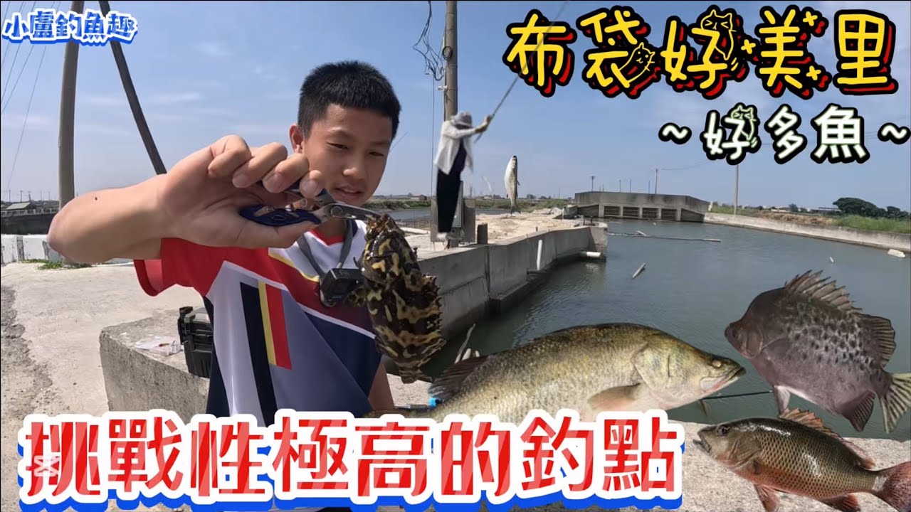 挑戰性極高的釣點「布袋好美里」魚好多啊～