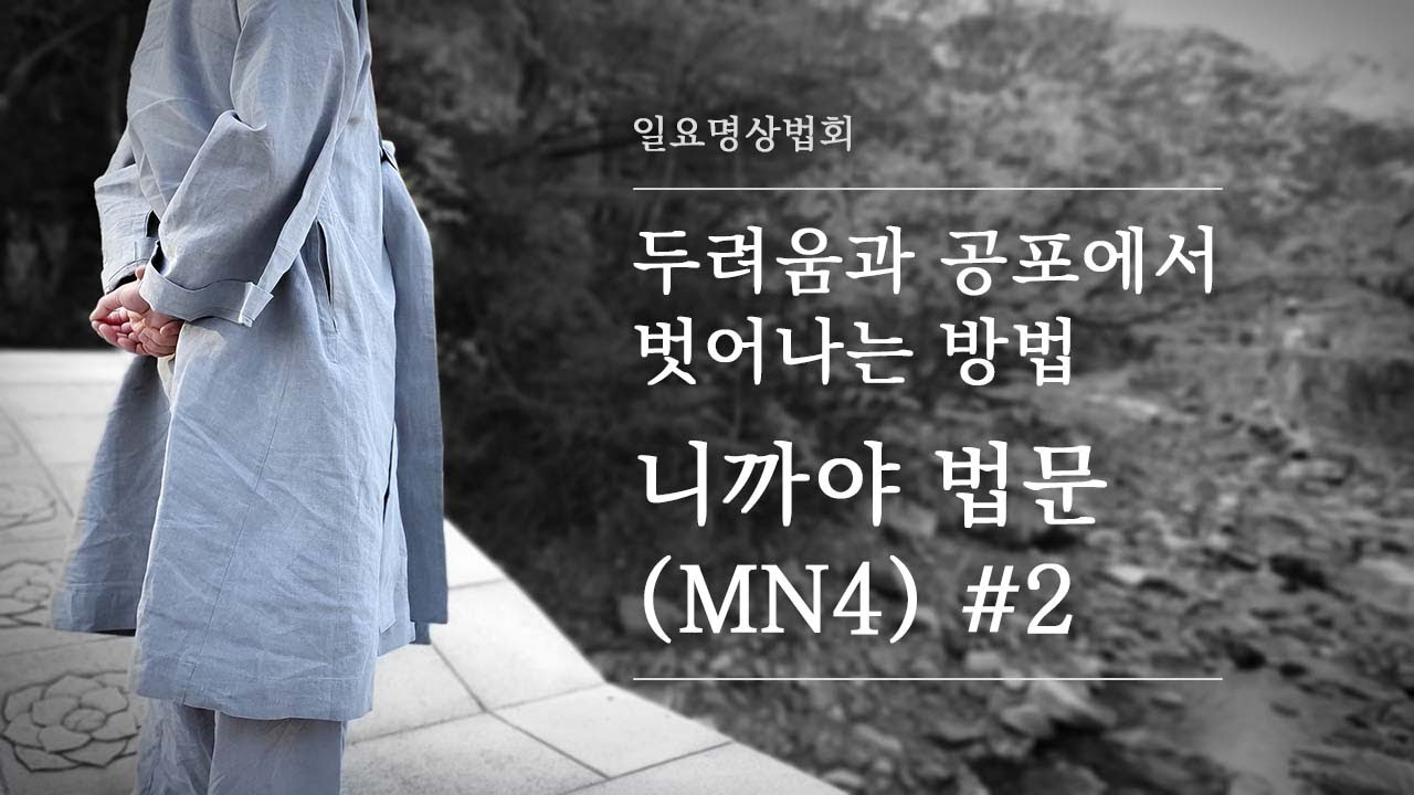 두려움과 공포에서 벗어나는 방법 (MN4) #2 l 맛지마 니까야 ㅣ 혜안스님
