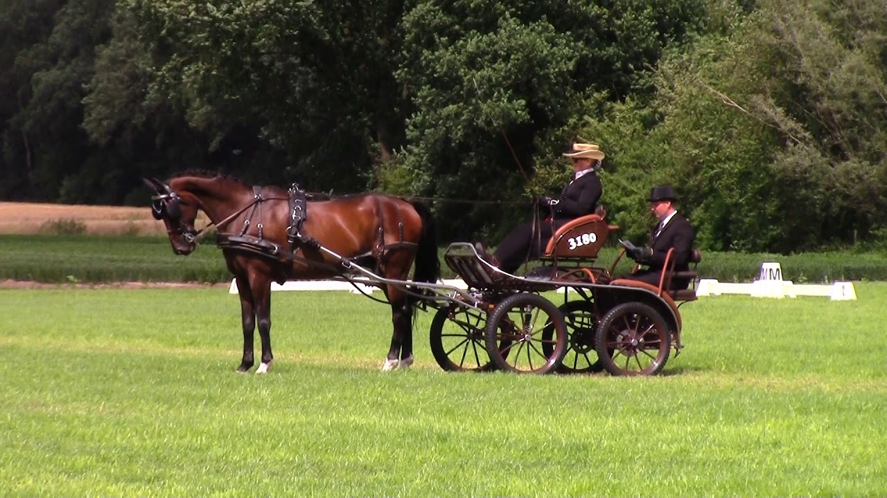NK Wierden - Dressuur FEI enkelspan paard