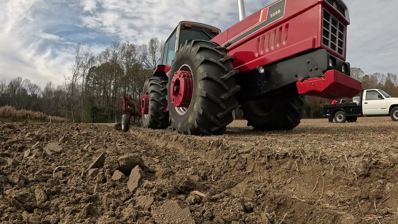 International 3588 Plowing with 12 Bottoms #farmall51 #farmall #redbibsbill  #farmequipment #Plowing