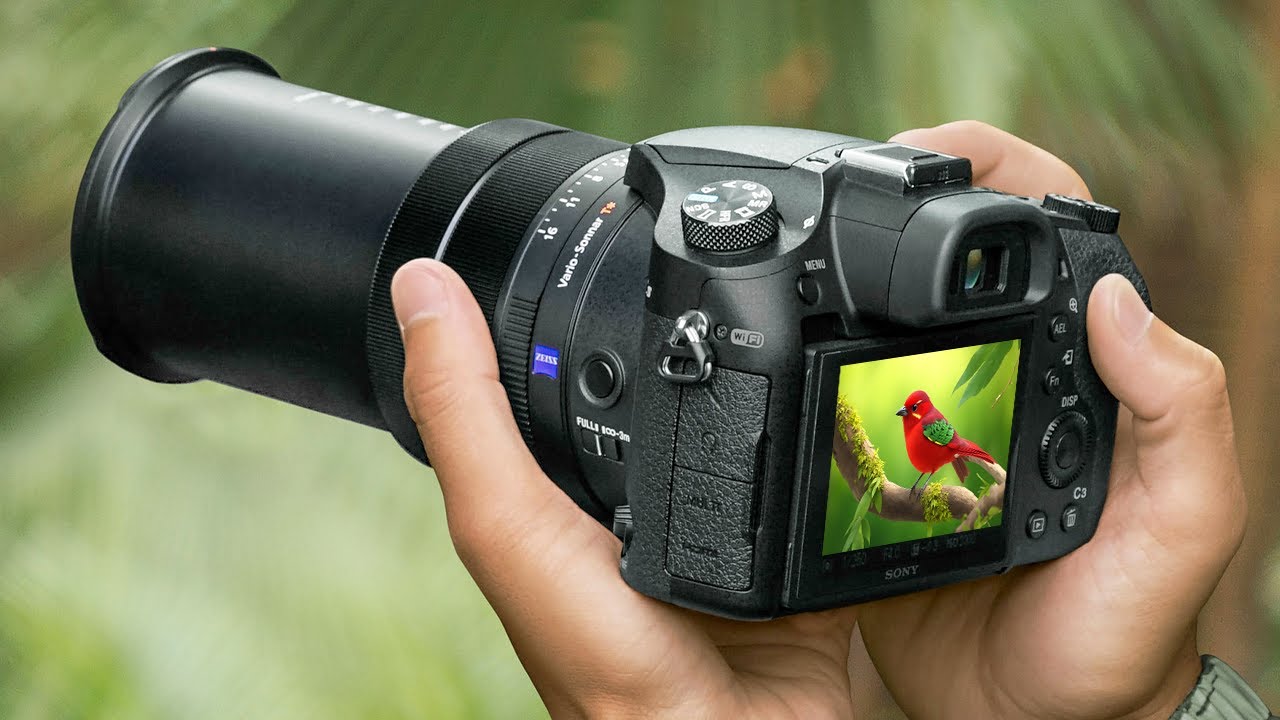 Best Zoom Cameras 2026 - Top Superzoom Cameras 2026