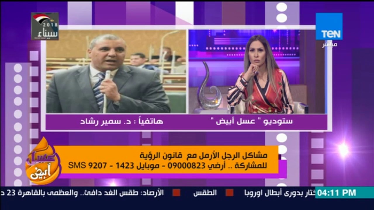د سمير رشاد عضو مجلس النواب قانون الرؤية الحالي ظالم للأب لأن ترتيبه رقم 16 في الحضانة