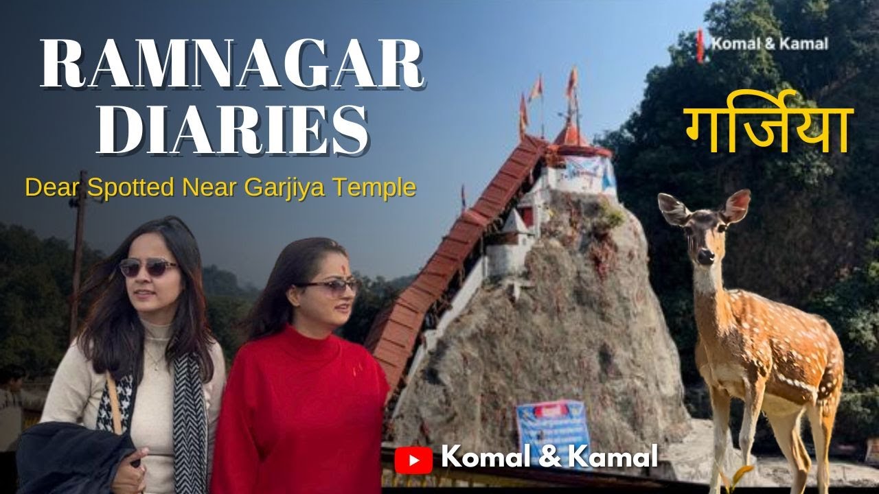 Deer Spotting Near Garjia Mandir | Ramnagar Travel Vlog
