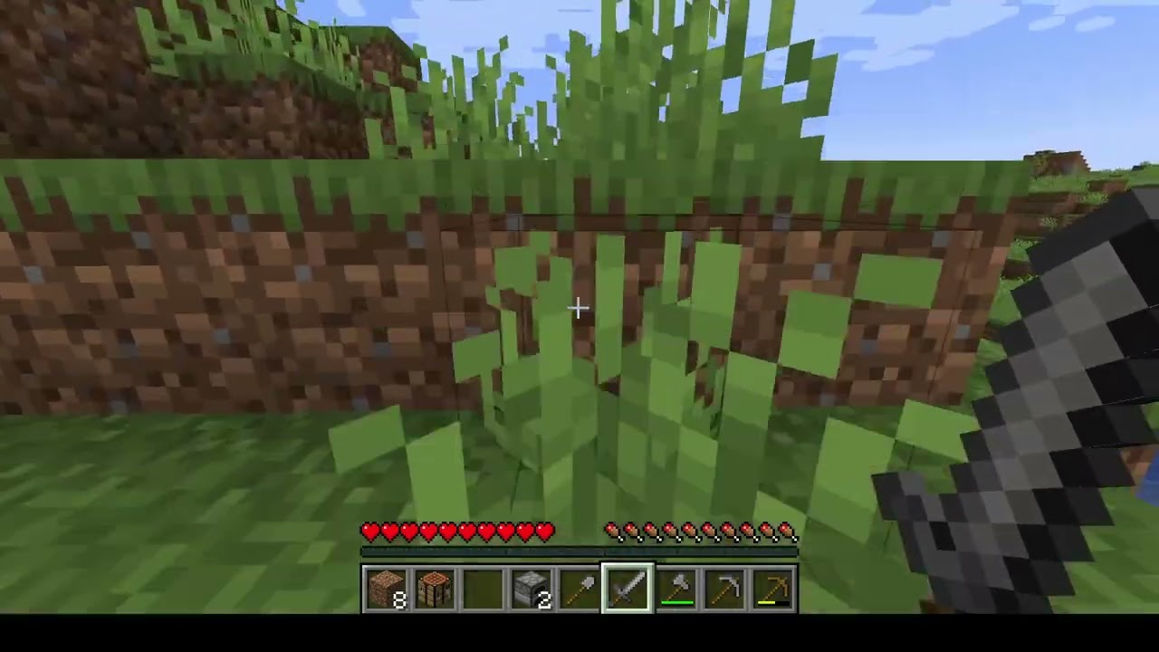 Survival Jakso 1