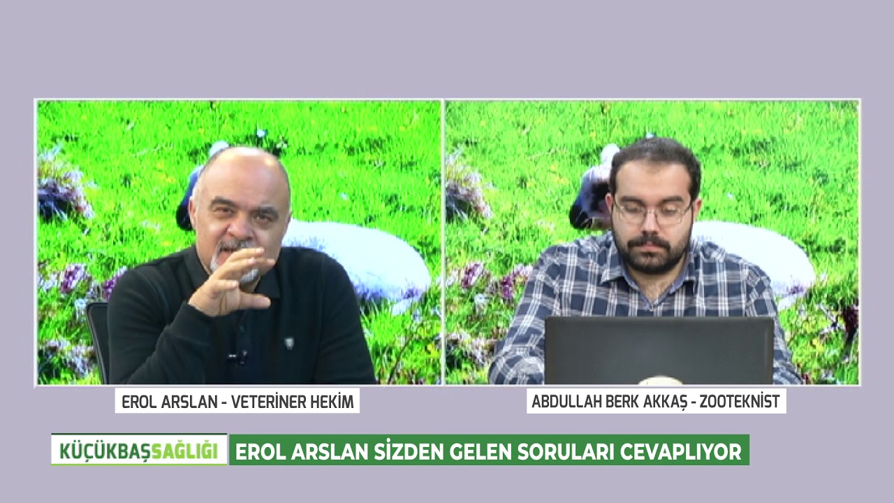 EROL ARSLAN'LA KÜÇÜKBAŞ SAĞLIĞI | SİZDEN GELEN SORULARI CEVAPLIYORUZ
