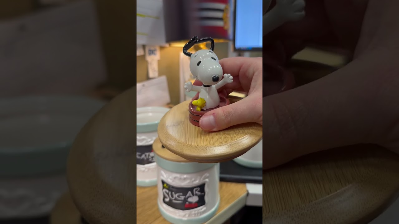 PEANUTS Kitchen Canister Collection With Labels