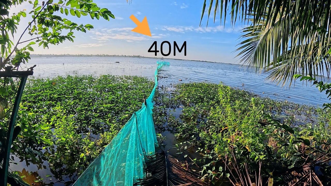 05.  ĐẶT DỚN TRÊN RUỘNG MÙA NƯỚC
