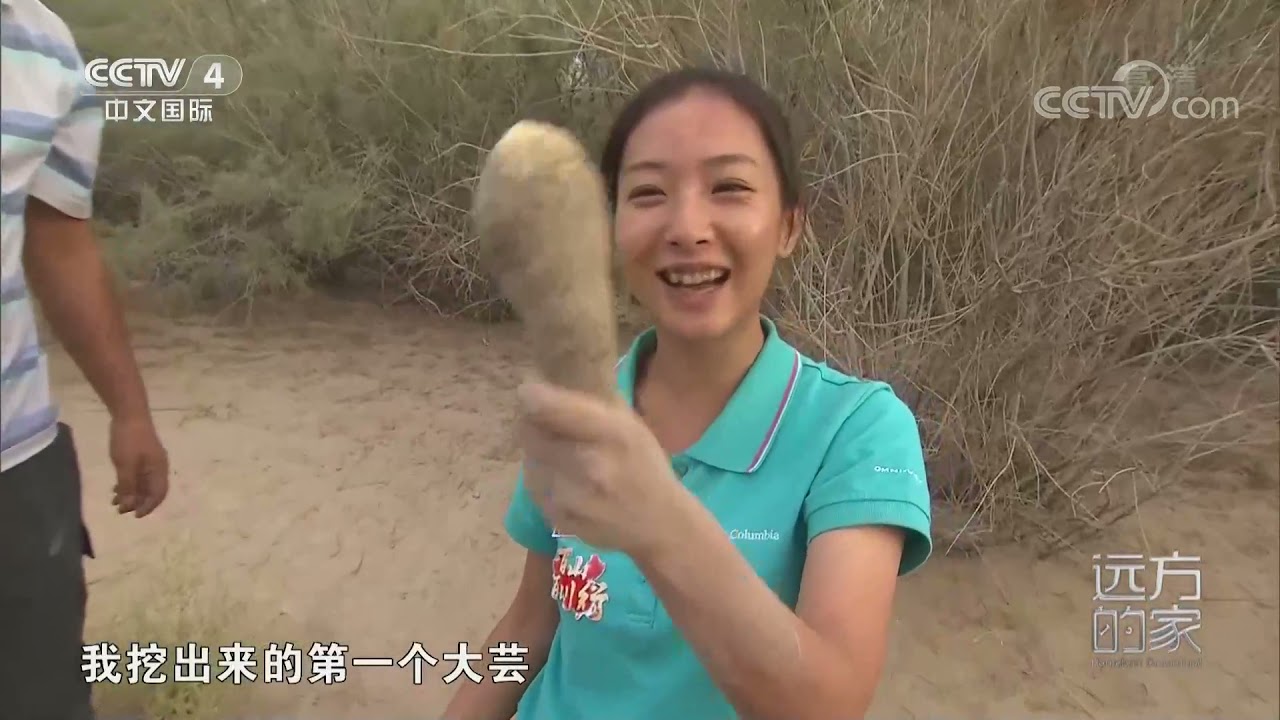 [远方的家]最美是家乡&mdash;&mdash;新疆 于田县：塔克拉玛干沙漠挖大芸| CCTV中文国际
