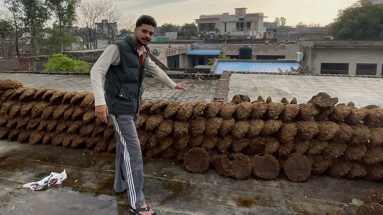 Aj arsh ne  pathiya te cows bare dseya suno 😅