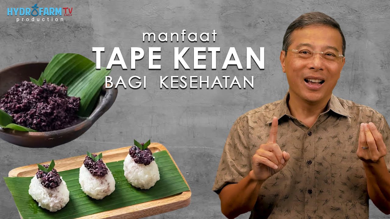 Manfaat TAPE KETAN Untuk Kesehatan..!!