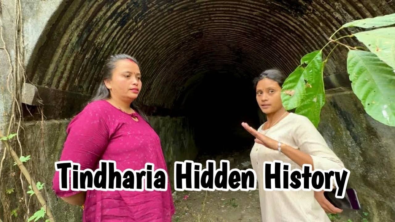 Tindharia Himalayan Railway: Exploring the Secret Loop No. 2