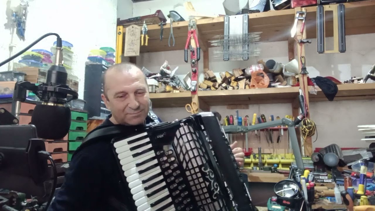 Servis harmonika Dane Loznica +38164 420 5721