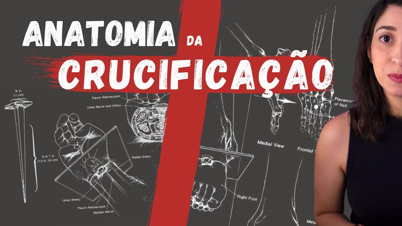ANATOMIA da CRUCIFICA&Ccedil;&Atilde;O