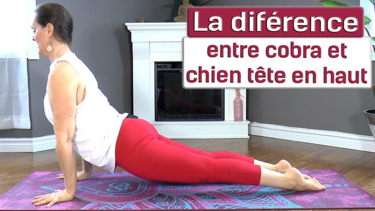 YogAnatomie : La difference entre cobra et chien tête en haut ? (92/365)