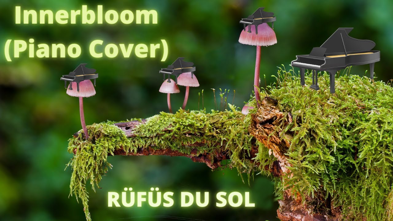 Innerbloom (Piano Cover) - RÜFÜS DU SOL (played by Keith)