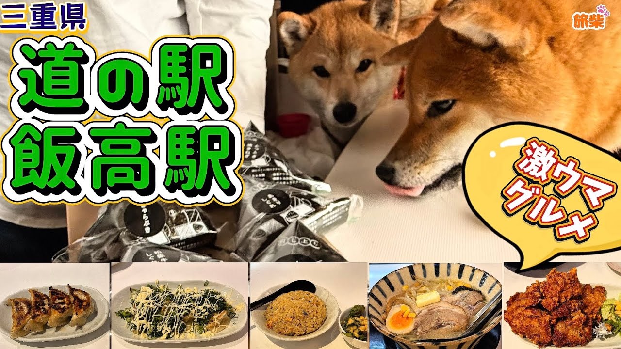 三重県にある道の駅飯高駅で美味しいもんと井村屋の湧き水【キャンピングカーで柴犬たちと車中泊】