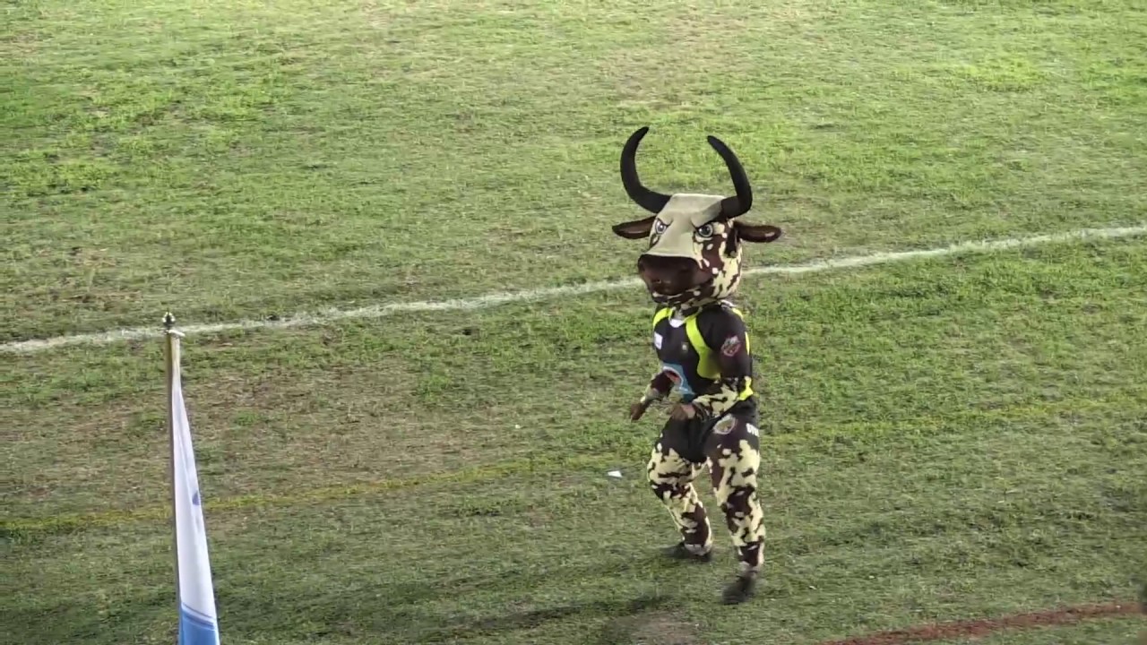 Varsity Shield Mascot dance off CPUT VS UFH