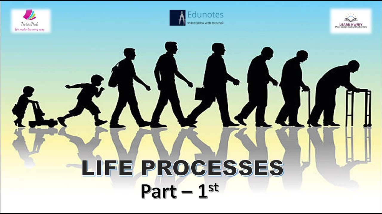 Class 10th Science Chapter 6 Life processes part 1st As per revised syllabus 2023-24