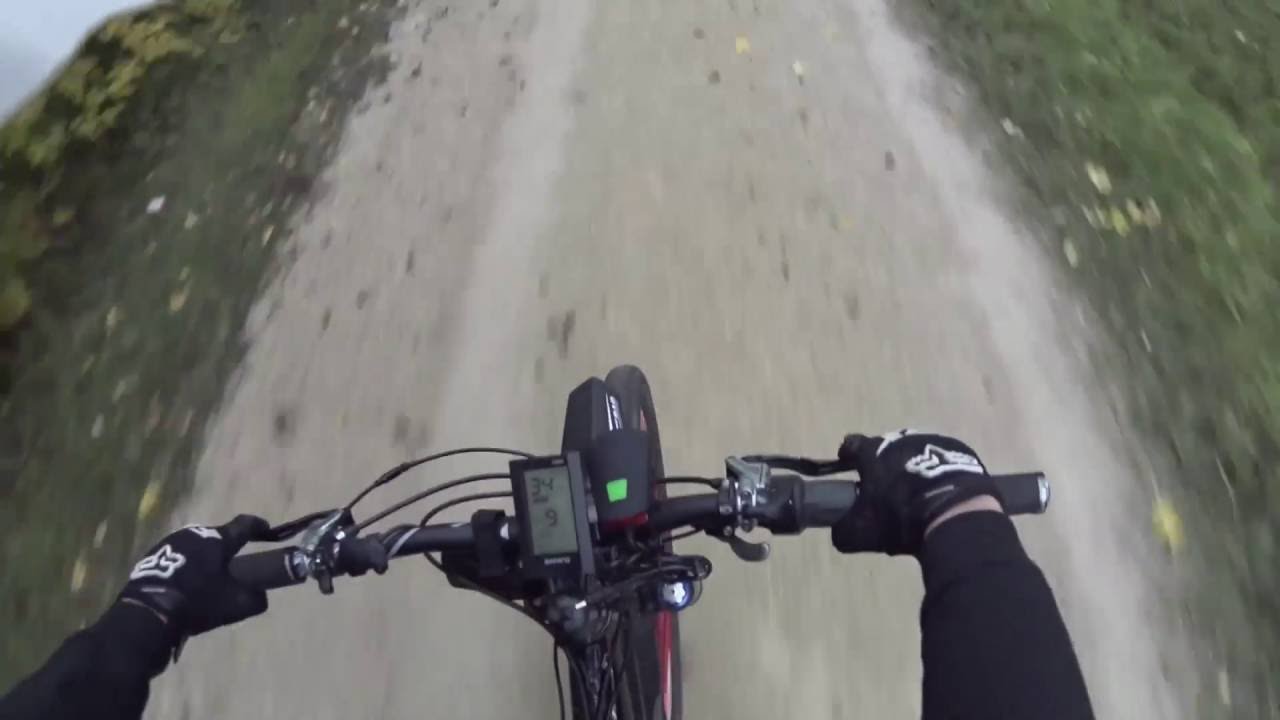 1000 W E-Bike Bafang BBSHD
