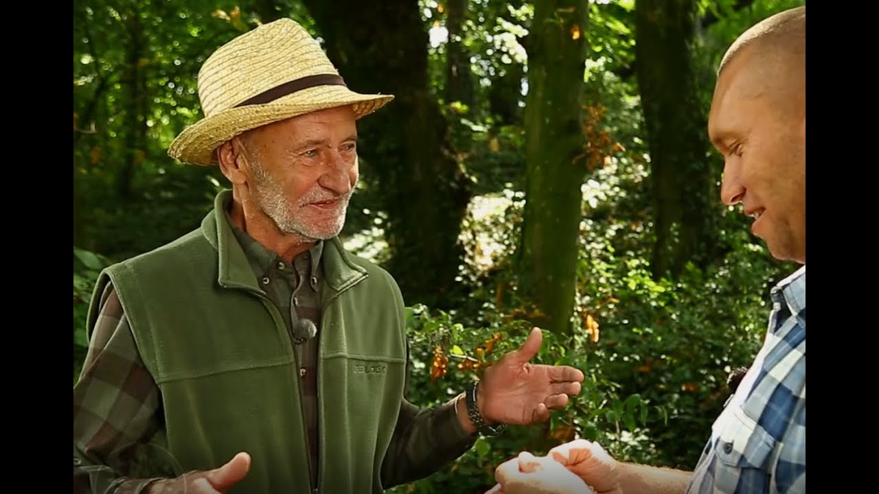 Reviczkyvel az Erdőben &ndash; Nat&uacute;rparkok &ndash; 2021-I. &eacute;vad - 6/6 - Pro V&eacute;rtes Nat&uacute;rpark
