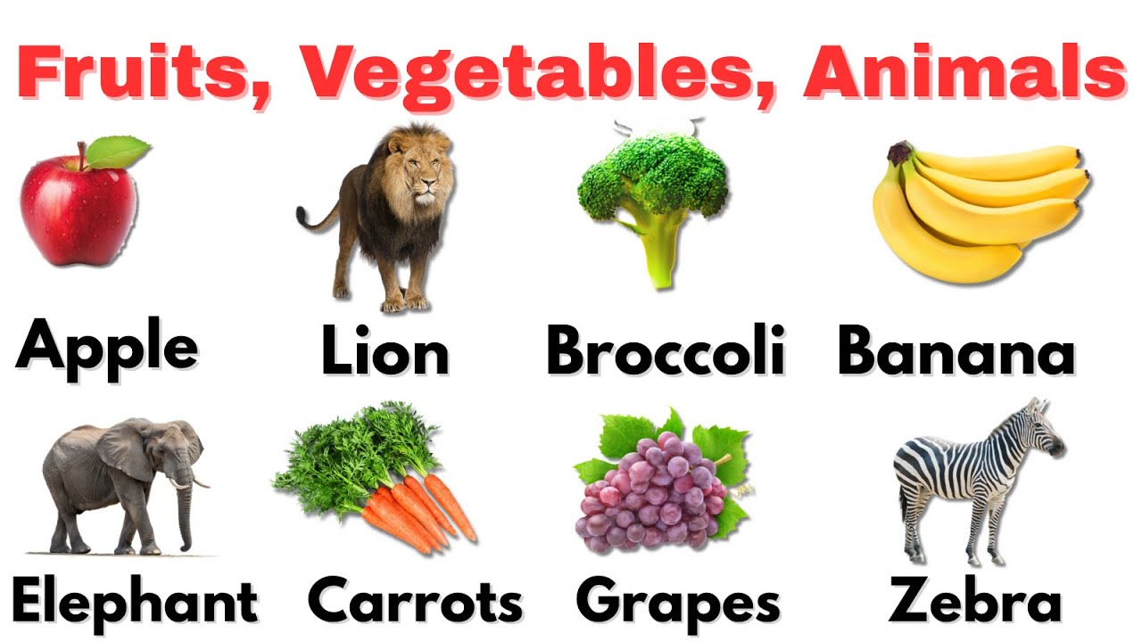 100 First Words | Learn Fruits, Vegetables and Wild Animals in English | Best Educational Video 2026