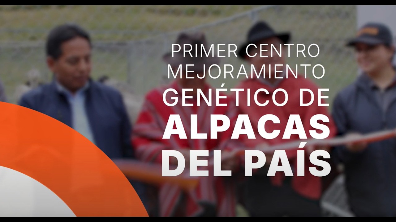 First Alpaca Genetic Improvement Center in Ecuador