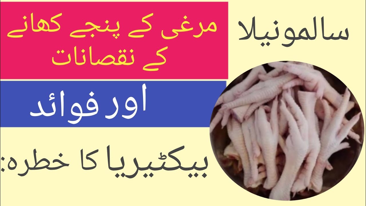 مرغی کے پنجے کھانے کے نقصانات