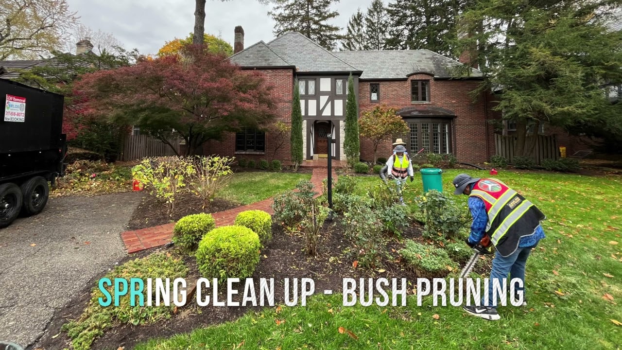 Fertilization & Weed Control, Lawn Mowing, Mulch Installation, Spring Clean-Ups- Indianapolis Carmel