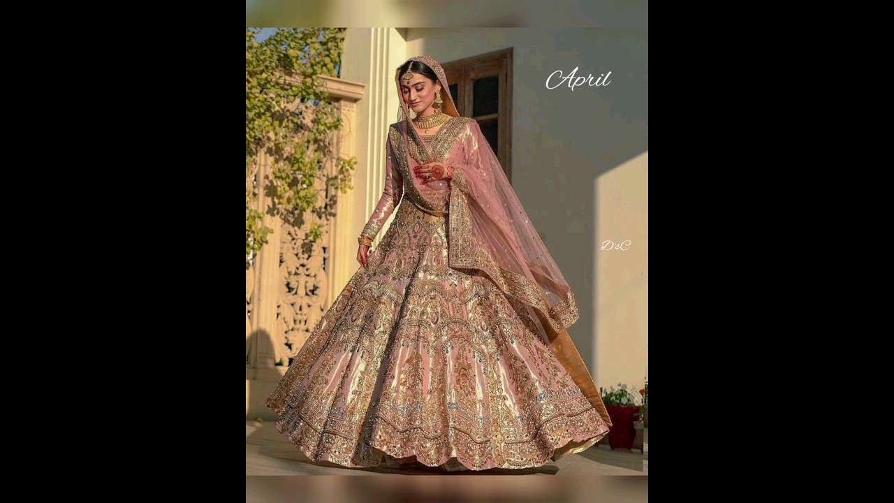 indian bridal dress / 