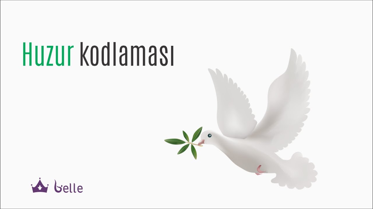 16 dəqiqədə frekansını y&uuml;ksəlt | 