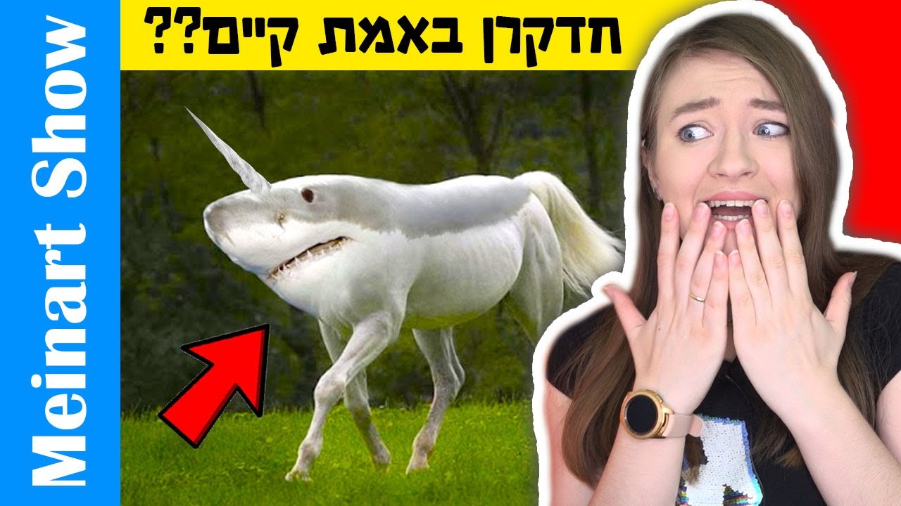 חיות הכי מוזרות בעולם! דברים שבחיים לא ראיתם