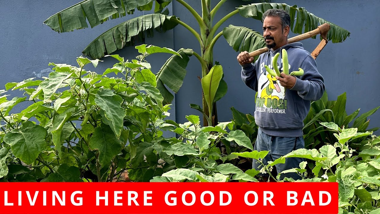 இந்த வாழ்கை கஷ்டமா || How We Manage To Live Here || What Challenges We Face Living Here