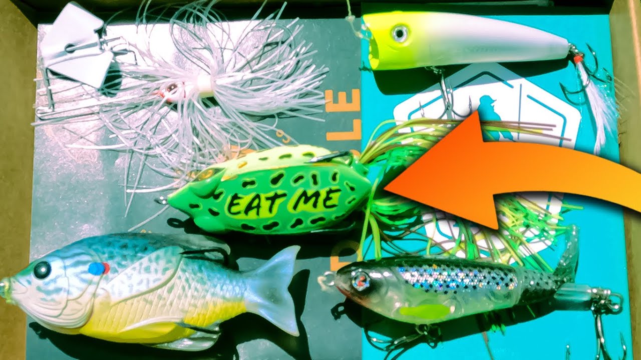 The Best Topwater Lures For BASS - Fishing Tips