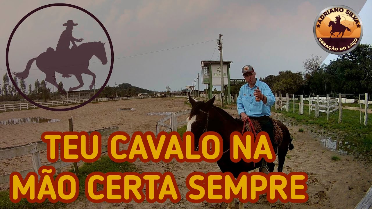 Laço Comprido: Como Pedir a Mão Certa do Teu Cavalo