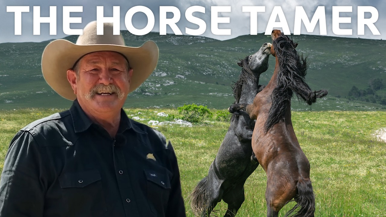 Can Pat Parelli Tame These Badly Behaved Horses?