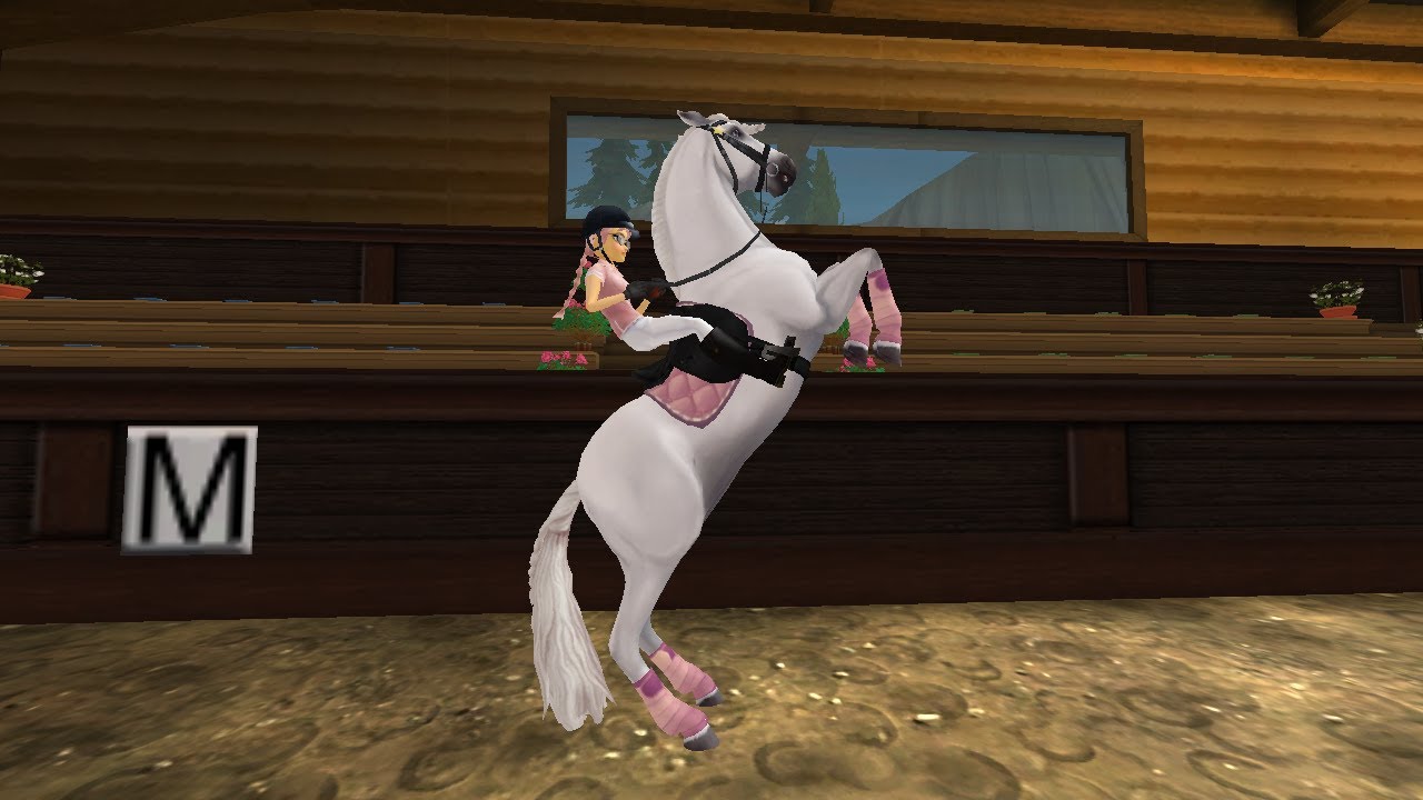 Dressage! | Silver Pandas | Star Stable Online