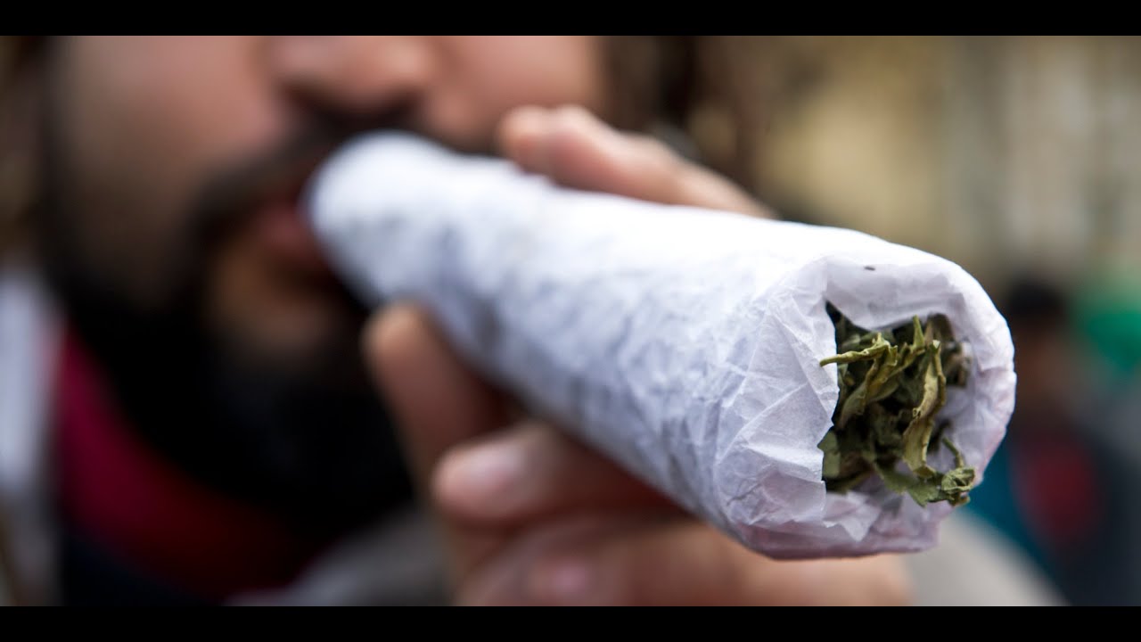 Marijuana Cultivation Charges Defense Attorney 626-827-7222 (Affordable * Powerful * Effective)