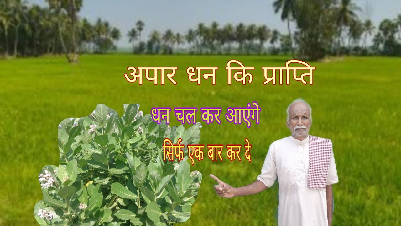 अपार धन कि प्राप्ति सिर्फ एक बार कर दे इतना धन आएंगे कि गरीबी तंगहाली को भूल जाएंगे