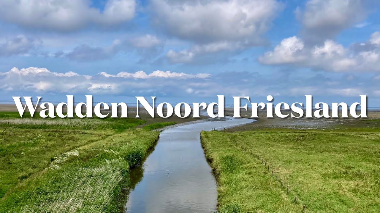 Met de camper naar de Wadden bij Noord Friesland  🇳🇱 muziek: West Zuid West van Ameland