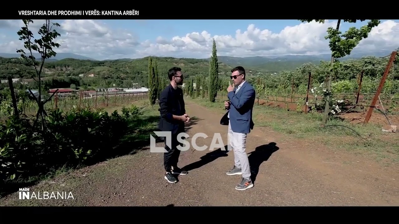 Vreshtaria dhe prodhimi i verës, Kantina Arbëri - INSIDER P1 7/6/2024