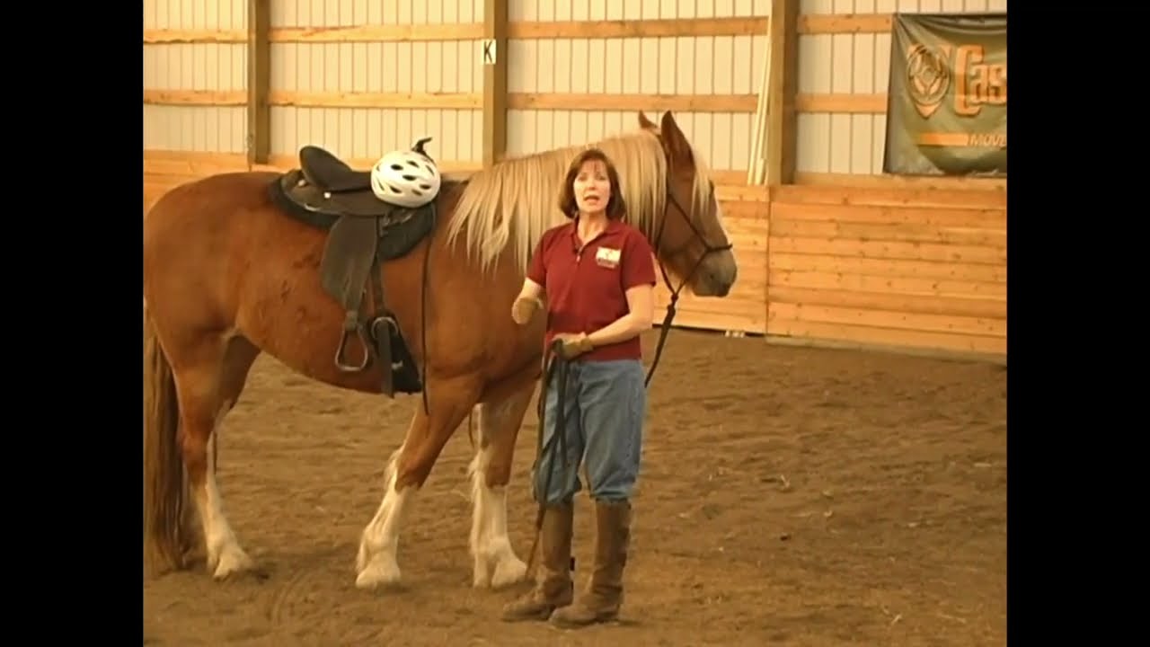 Translating the 5 FUNDAMENTALS Under Saddle for a SAFER Horse Ride 🤠