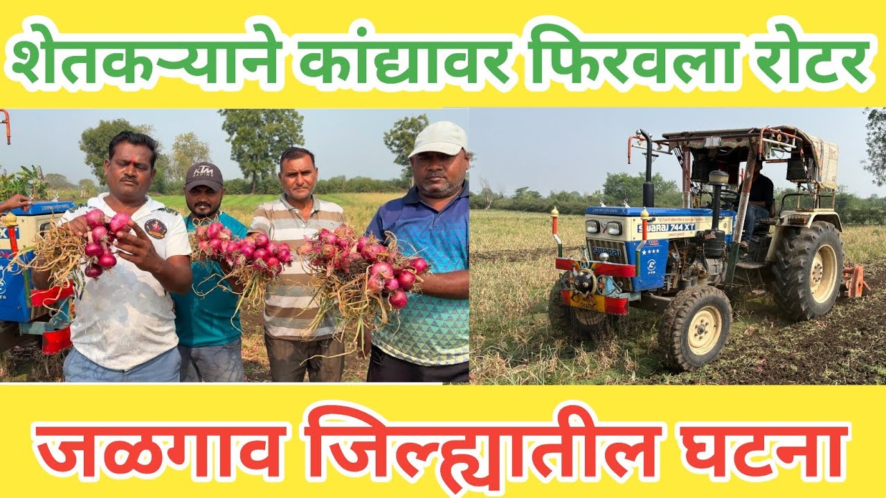 शेतकऱ्याने कांद्यावर फिरवला रोटर | #जळगाव जिल्ह्यातील घटना