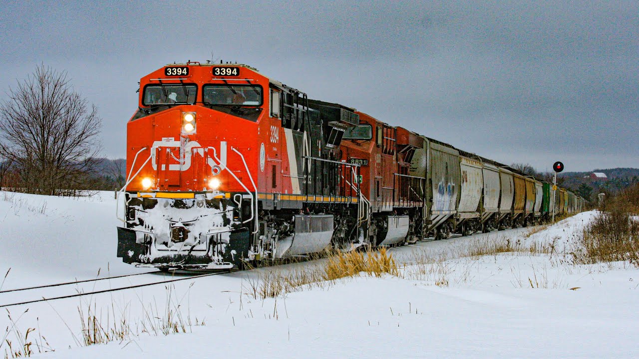 RARE CN TAKEOVER! CN 3394 at Caledon, ON (FEB 18, 2026)