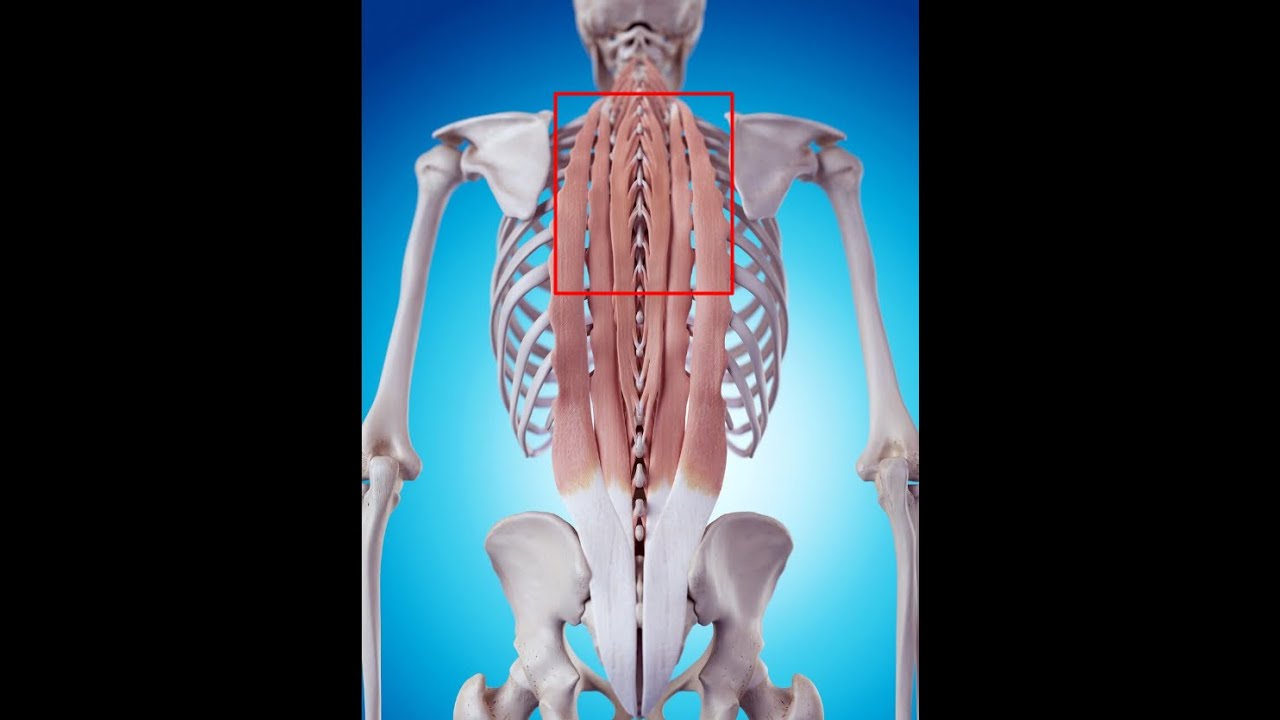 Thoracic extension: How-to, pitfalls, & general posture
