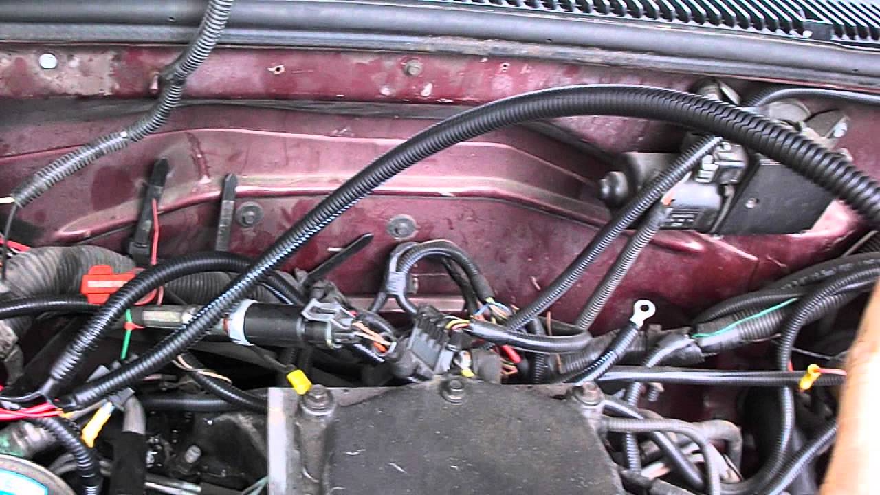 Lift Pump Relay Harness.